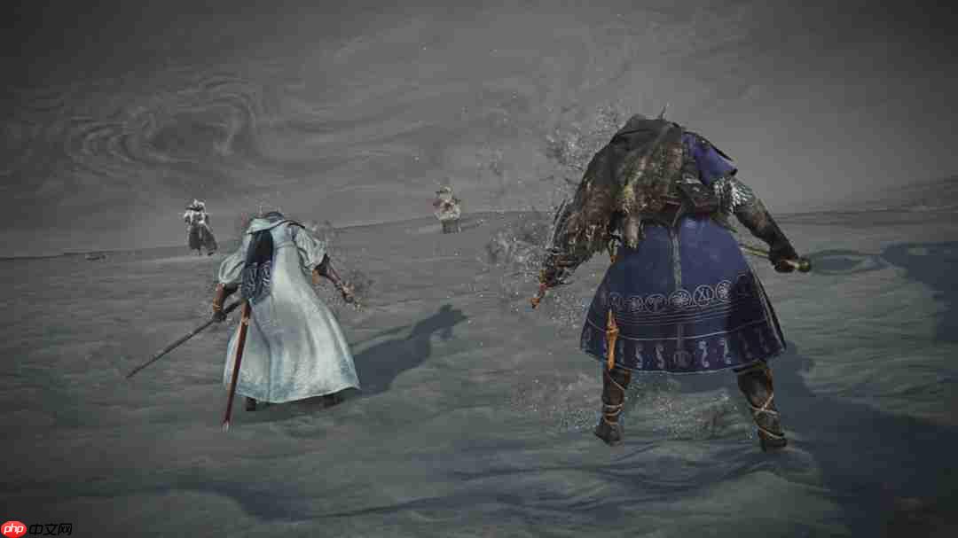 《艾尔登法环：黑夜君临》DLC新职业“学者”预告