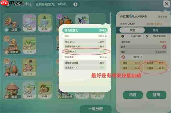 米姆米姆哈米姆工作站S级增量技巧