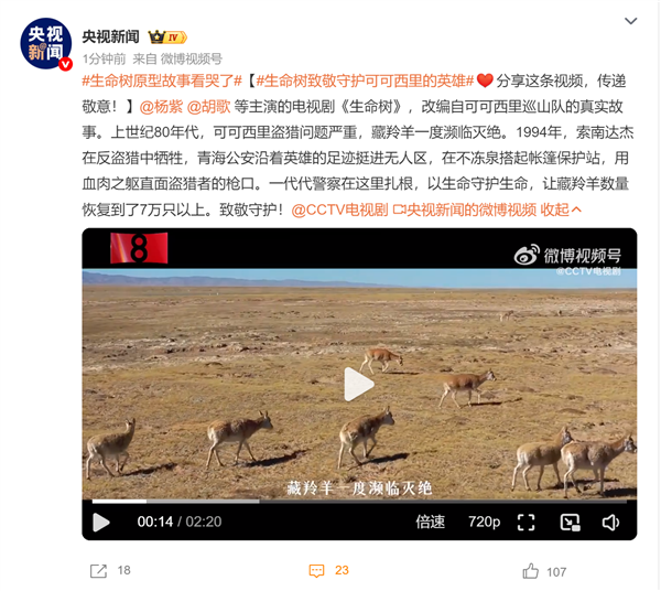 改编自可可西里巡山队！央视向《生命树》原型故事致敬